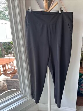PATAGONIA Black Women's Active Pull-On Pants Joggers Hiking Outdoor Size Large
